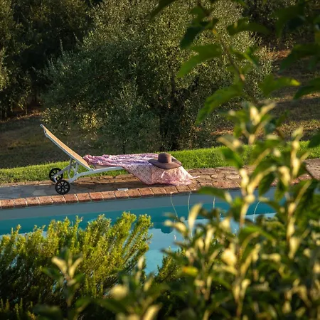 Olivo By Great Villa *