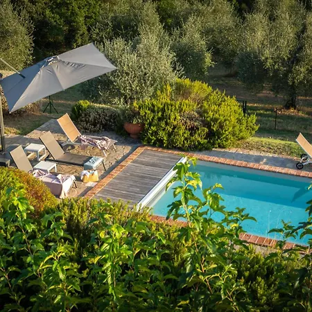 Villa Olivo By Great *