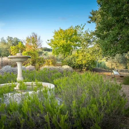 Villa Olivo By Great *