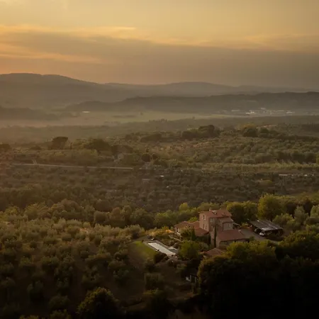 Olivo By Great Villa *