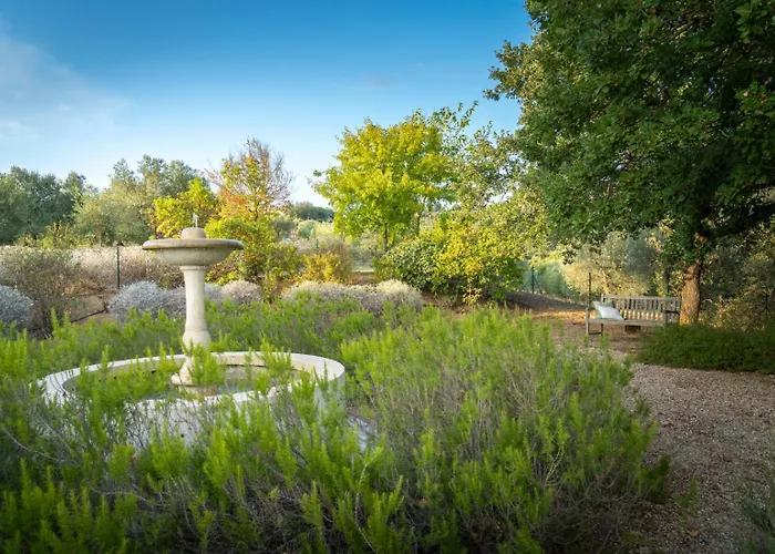 Villa Olivo By Great *