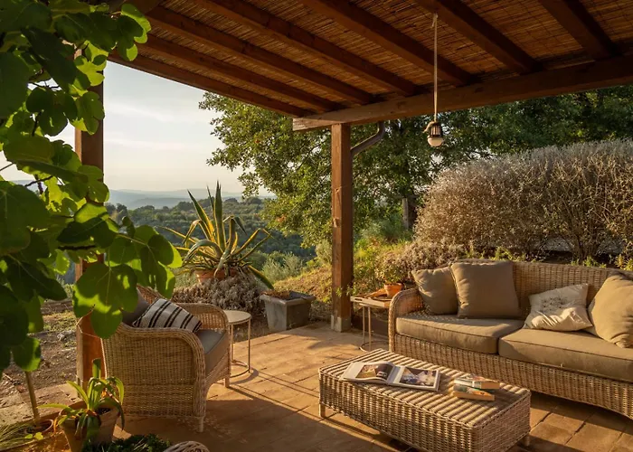 Olivo By Great * Città della Pieve