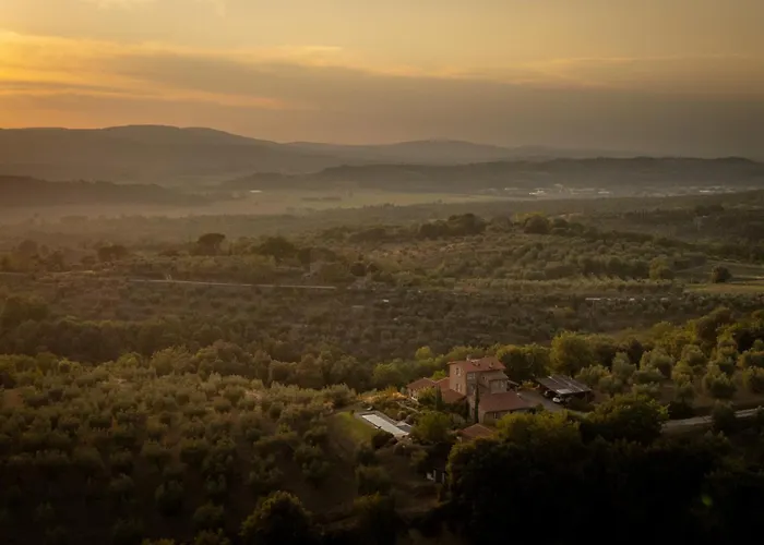 Olivo By Great Villa *